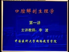 口腔解剖生理学视频教程 20讲 中国医科大学 赠课件